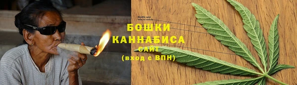 прущие грибы Армянск