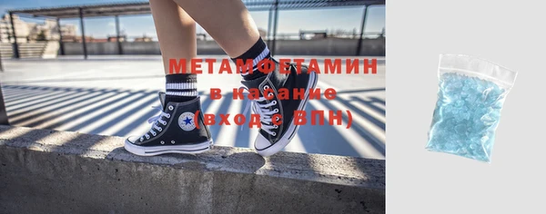 прущие грибы Армянск