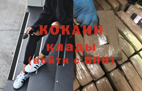 индика Абинск