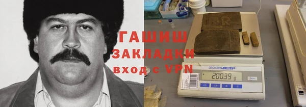 прущие грибы Армянск