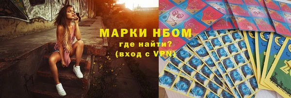 прущие грибы Армянск