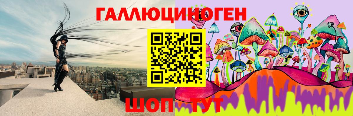 Галлюциногенные грибы Psilocybe Якутск